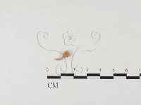 登錄號:F0019652藏品圖，第1張