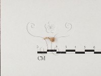 登錄號:F0019652藏品圖，第3張