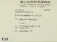 登錄號:F0019653藏品圖，第2張