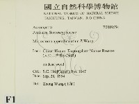 館號:F0019654藏品圖，第2張