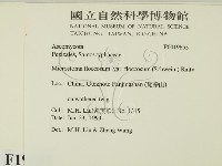 登錄號:F0019655藏品圖，第2張