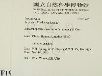 登錄號:F0019656藏品圖，第2張