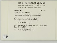 登錄號:F0019657藏品圖，第2張