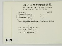 登錄號:F0019658藏品圖，第2張
