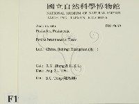 登錄號:F0019659藏品圖，第2張