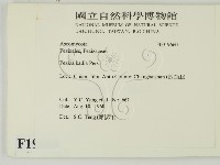 登錄號:F0019660藏品圖，第2張