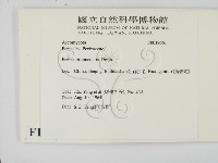 登錄號:F0019661藏品圖，第2張