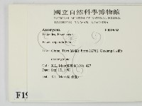 登錄號:F0019662藏品圖，第2張
