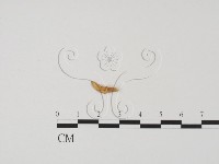 登錄號:F0019663藏品圖，第1張
