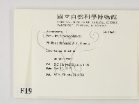登錄號:F0019664藏品圖，第2張