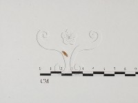 登錄號:F0019664藏品圖，第3張