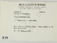 登錄號:F0019665藏品圖，第2張
