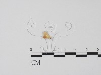 登錄號:F0019666藏品圖，第1張