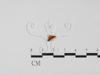 登錄號:F0019666藏品圖，第3張