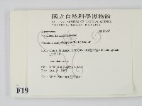 登錄號:F0019667藏品圖，第2張