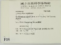 登錄號:F0019668藏品圖，第2張