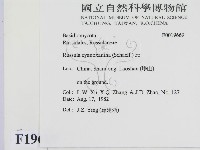 登錄號:F0019669藏品圖，第2張