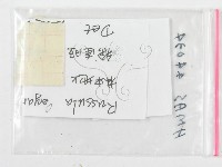 登錄號:F0019669藏品圖，第3張