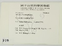 登錄號:F0019670藏品圖，第2張