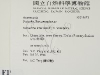 登錄號:F0019673藏品圖，第2張