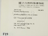 登錄號:F0019674藏品圖，第2張