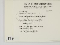 登錄號:F0019675藏品圖，第2張