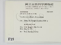 登錄號:F0019677藏品圖，第2張