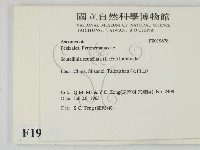 館號:F0019678藏品圖，第2張