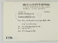 登錄號:F0019680藏品圖，第2張