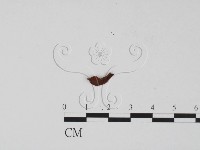 登錄號:F0019682藏品圖，第3張