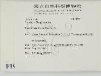 登錄號:F0019683藏品圖，第2張