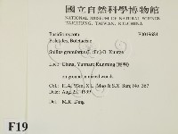 登錄號:F0019684藏品圖，第2張