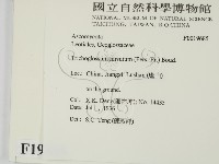 登錄號:F0019685藏品圖，第2張