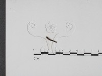登錄號:F0019686藏品圖，第1張
