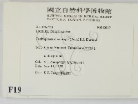 登錄號:F0019687藏品圖，第2張