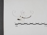 登錄號:F0019687藏品圖，第3張