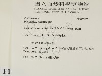 登錄號:F0019689藏品圖，第2張