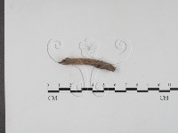 登錄號:F0019690藏品圖，第1張