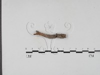 登錄號:F0019690藏品圖，第3張