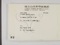 登錄號:F0019691藏品圖，第2張