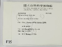 登錄號:F0019693藏品圖，第2張