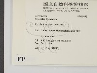 登錄號:F0019695藏品圖，第2張