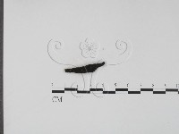 登錄號:F0019696藏品圖，第1張