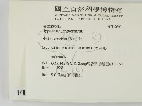登錄號:F0019697藏品圖，第2張