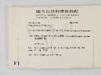 登錄號:F0019698藏品圖，第2張
