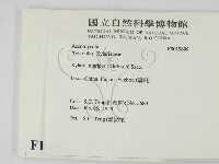 登錄號:F0019699藏品圖，第2張