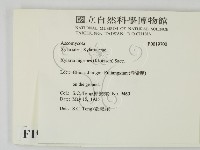 登錄號:F0019700藏品圖，第2張