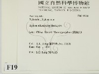 登錄號:F0019701藏品圖，第2張