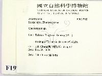 登錄號:F0019703藏品圖，第2張