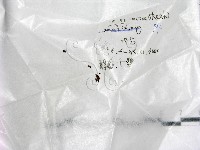 登錄號:F0019703藏品圖，第1張